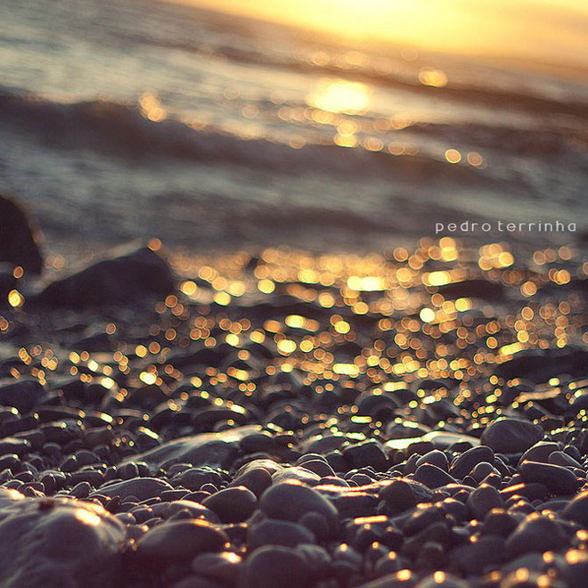 beatiful-dream-colorful-pedro-terrinha-photography